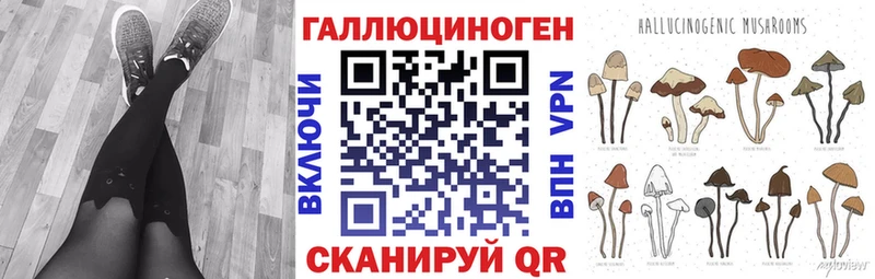 Псилоцибиновые грибы Cubensis  гидра ссылки  Заполярный 